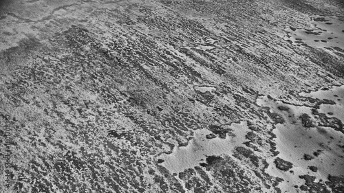 Fototapeta Naklejka Na Ścianę i Meble -  Monochrome aerial perspective of Queensland coral reef showing patterns and natural formations