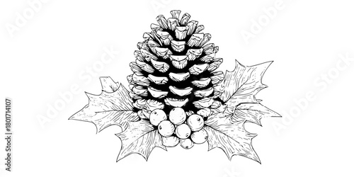 Black White Whispers Nature: Stylized Pine Cone | Clean, isolated vector art for creative projects.