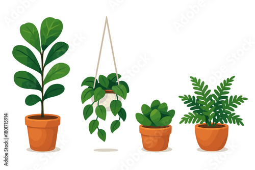 Diverse collection of popular green houseplants in terracotta pots isolated on a white background