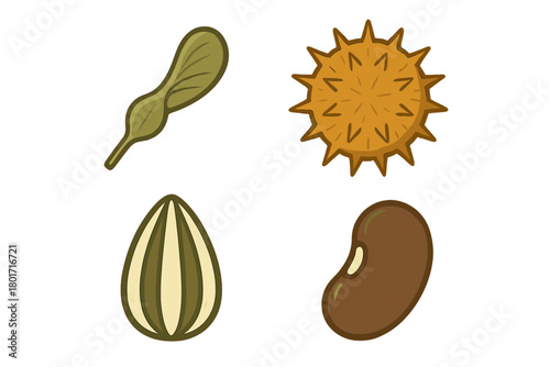 Various plant seeds and fruit dispersal units icons collection