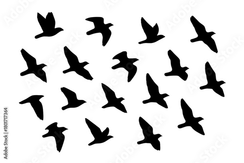 Silhouettes of a flock of birds flying in different directions
