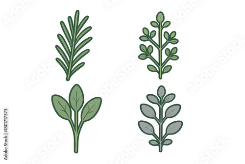 Four distinct stylized green sprigs of various herbs and leafy plants for culinary design
