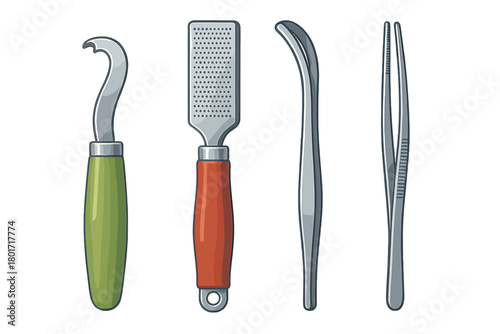 Specialized set of metal tools featuring a zester, grater, probe, and precision tweezers