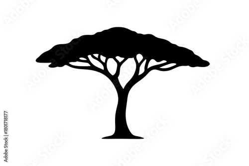 Flat-topped acacia tree silhouette with wide spreading canopy