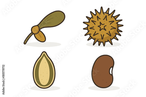 Set of four distinct biological plant seeds and pollen grains icons
