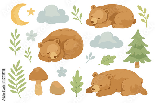 Adorable sleeping brown bear cubs among stylized forest nature elements