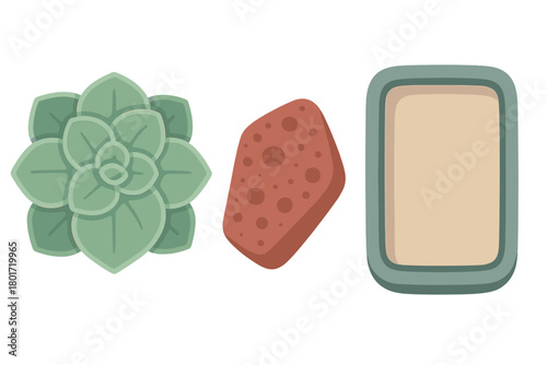 Set of succulent plant, cleaning sponge, and cosmetic compact icons