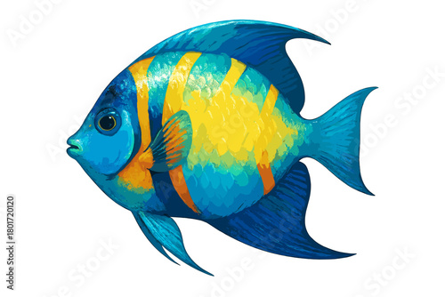 Vibrant tropical angelfish with blue and yellow stripes isolated on white