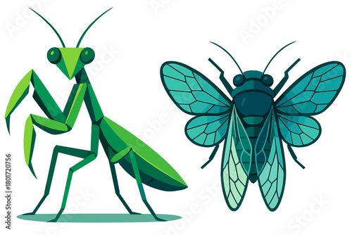 Stylized geometric praying mantis and cicada insects isolated on white background