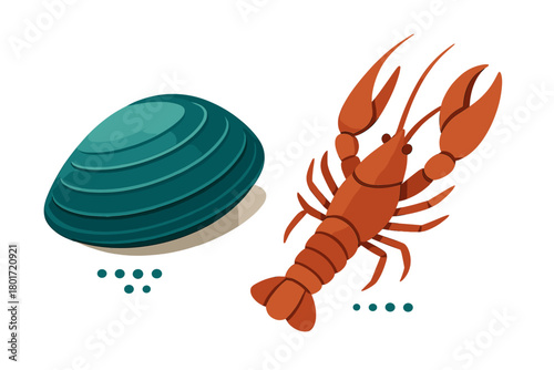 Aquatic fauna featuring a bright orange crayfish and a dark teal mussel shell