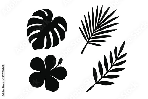 Set of tropical plant silhouettes including monstera and hibiscus flower