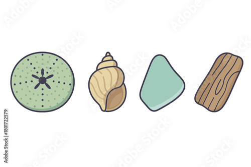 Set of beach treasures including sand dollar, seashell, sea glass, and driftwood