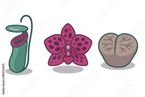Set of stylized icons featuring exotic carnivorous and succulent flora
