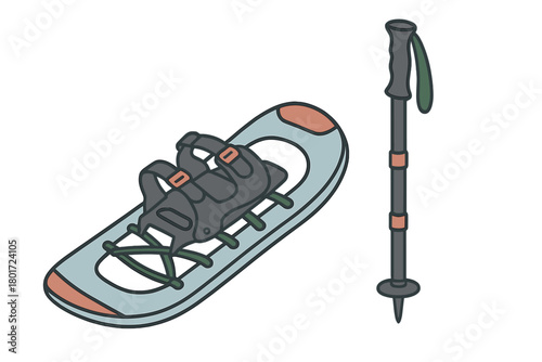 Snowshoe and adjustable trekking pole isolated on white background