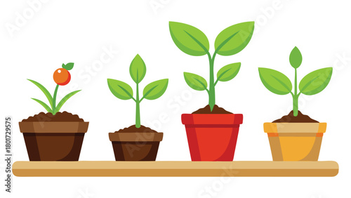Indoor Plant Collection in Pots – Vector Illustration