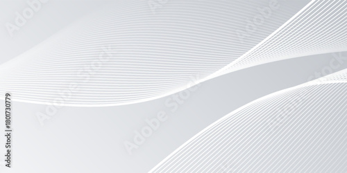 gray and white abstract background modern vector illustration. abstract wavy lines background. abstract white background.