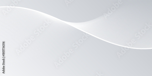 gray and white abstract background modern vector illustration. abstract wavy lines background. abstract white background.