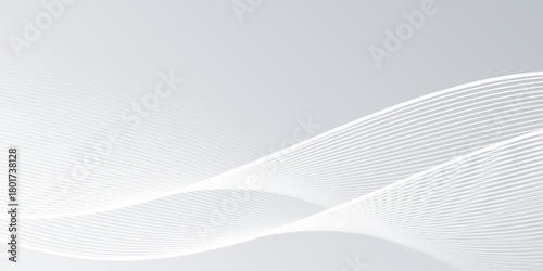 gray and white abstract background modern vector illustration. abstract wavy lines background. abstract white background.