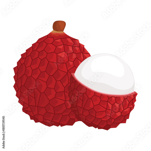 Lychee fruit. Vector illustration. Highlights and shadows. Isolated on white background.