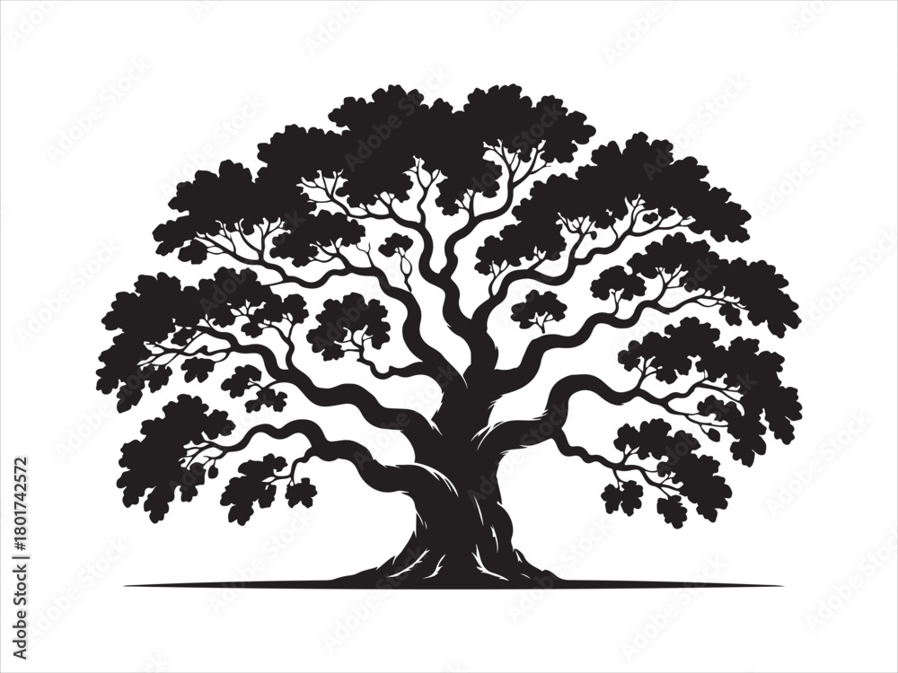 Fototapeta premium Oak Tree Silhouette – Large Old Tree Vector Illustration