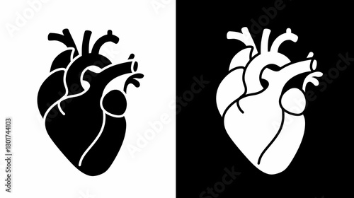 Realistic Heart Anatomy Vector Icon Set Cardiology Design Element