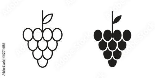 Grapes icon line and filled style suitable for web and mobile application