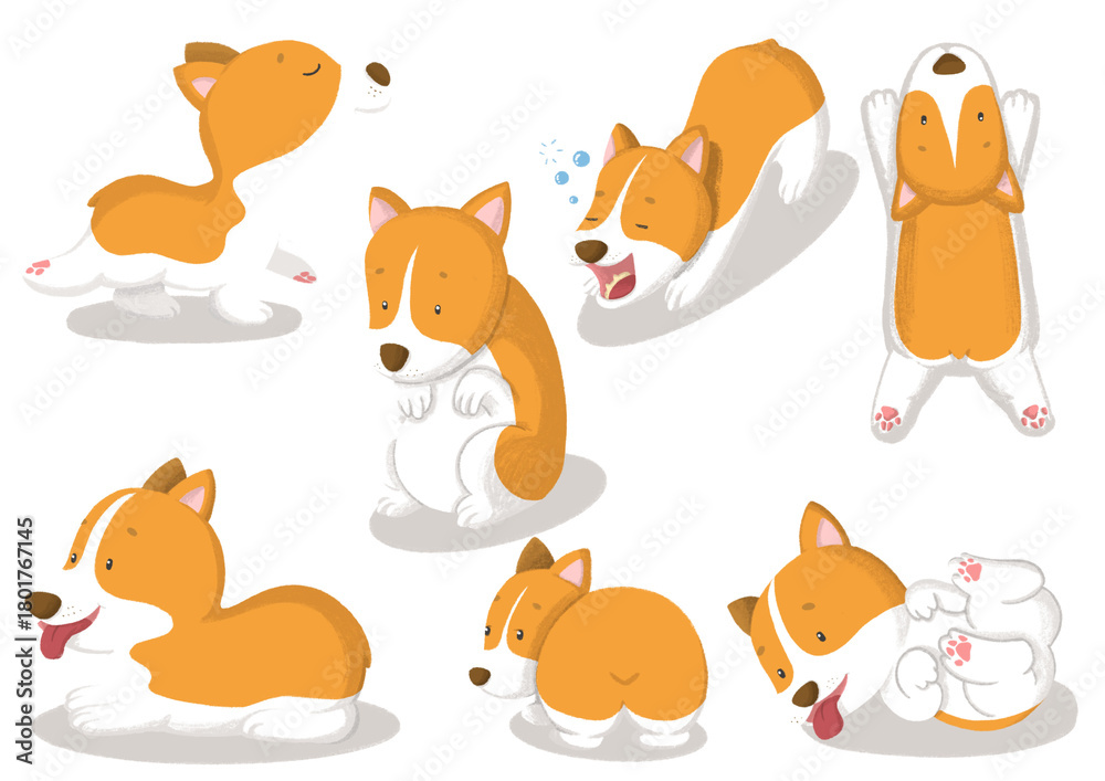 Obraz premium Daily life of corgi