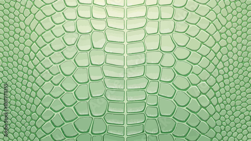 Green Crocodile Skin Texture Showing Detailed Patterns