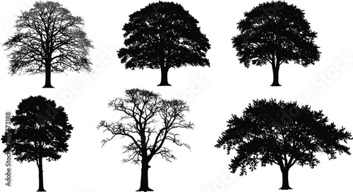 Tree silhouette vector set, diverse canopy and branch shapes, botanical seasonal illustration, black outline design, cad drawing flat vector illustration