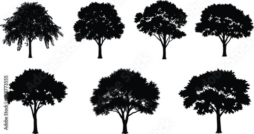 Tree silhouette set, diverse canopy shapes, botanical vector illustration, seasonal nature design, black outline art, cad drawing flat vector illustration