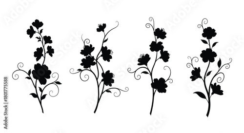 Silhouette of four flowering plant