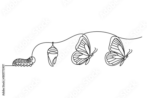 Butterfly metamorphosis stages A minimalist line art illustration depicting the transformation of a caterpillar into a beautiful butterfly