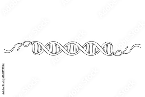 Stylized double helix DNA strand illustration, symbolizing genetics, life, and biological research, presented in a clean, minimalist line art style