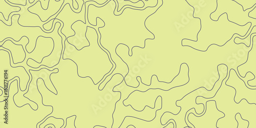 Background Contour lines on topographic maps, geographic map pattern. packaging , web, geographic grid map vector illustration.