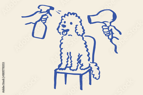 Poodle grooming with dryer hand drawn sketch vector illustration