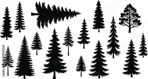 PrintCollection of evergreen tree silhouettes, showcasing pine, fir, spruce and forest elements, natural landscape design resources, botanical shapes, and woodland illustration