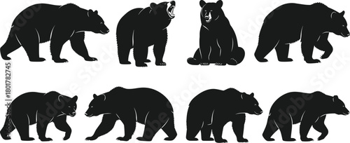 Realistic black bear silhouette set featuring walking, sitting, roaring poses for wildlife, nature, animal behavior, and educational design use.