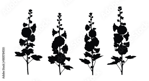 Four hollyhock flowers, floral silhouette design