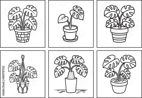Beautiful potted plant monstera black line art vector illustration for kids, Coloring page or book design bundle set