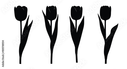 Four tulip silhouettes for floral arrangement