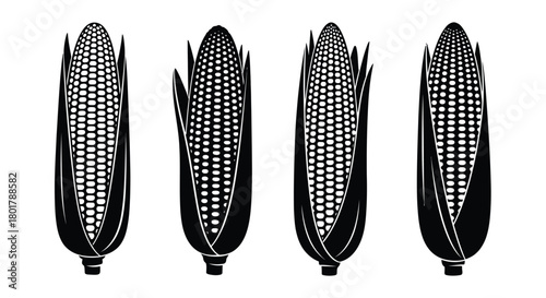 Four ears of corn for food and agriculture