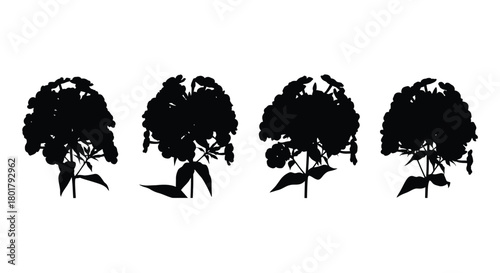 Four phlox flower silhouettes in a row