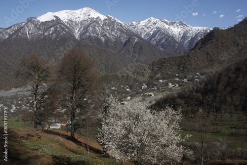 A sunny spring day in a mountain village