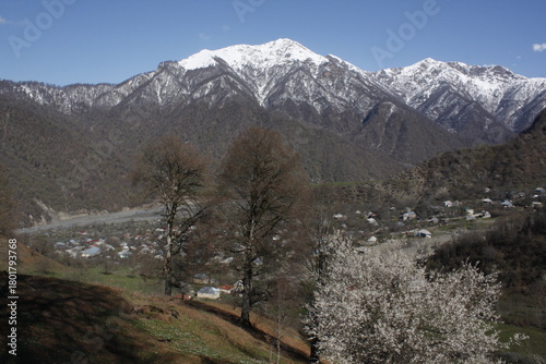 Beautiful spring landscape