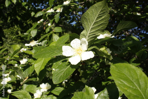 Beautiful spring landscape