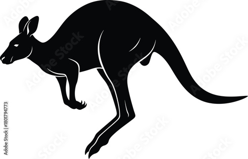 Kangaroo illustration silhouette vector image australian wildlife art eps