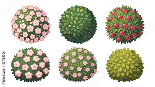 Various cartoon bushes isolated on, with flowers and berries