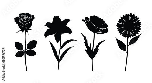 Black flower silhouette vector illustration