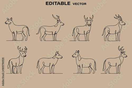 Collection of hand drawn donkey and mule illustrations on kraft paper background
