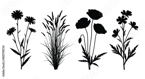Silhouette of various wildflowers in vector format